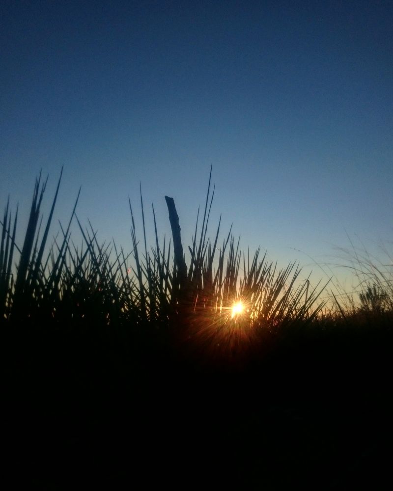 Lamar's Agricultural Roots Shape Its Quiet, Slow-Paced Life