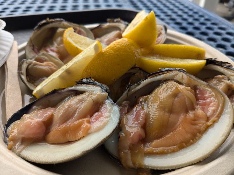 Final Reflection On A Bronx Classic