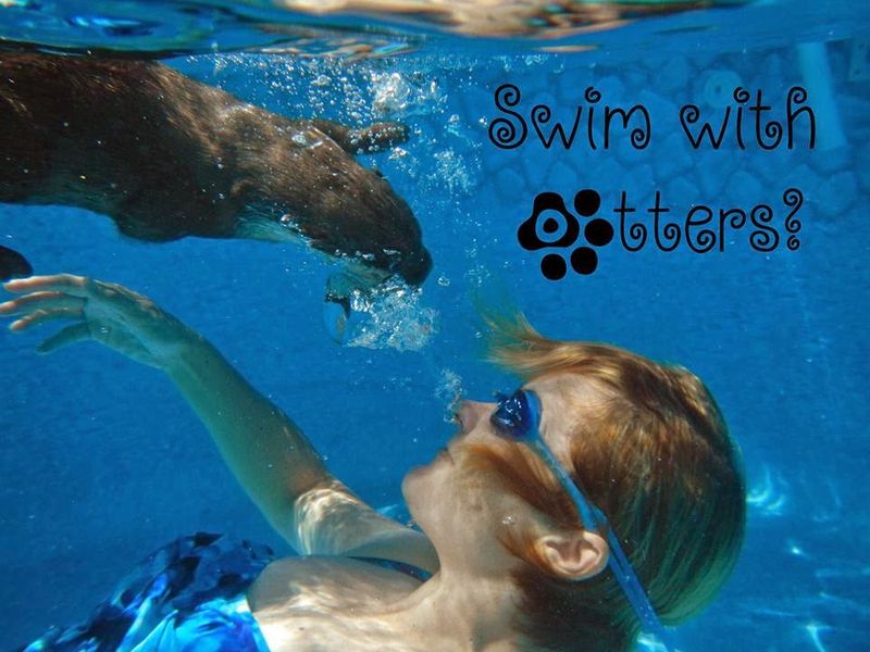 How Guided Encounters Create Meaningful Wildlife Experiences