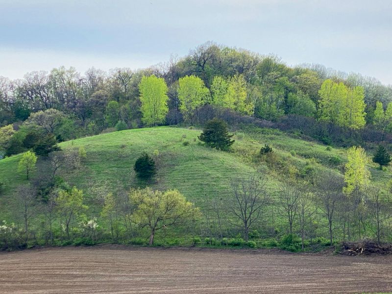 A Small Town Surrounded By The Natural Beauty Of The Driftless Area