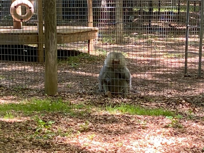 What First-Time Visitors Find Surprising