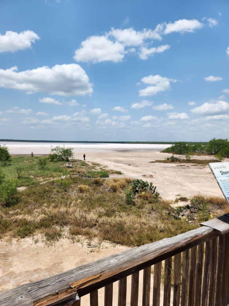 La Sal Del Rey: A Local Secret For Generations