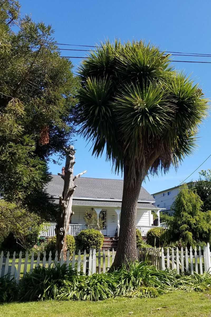 A Remote Beach Town On California's North Coast