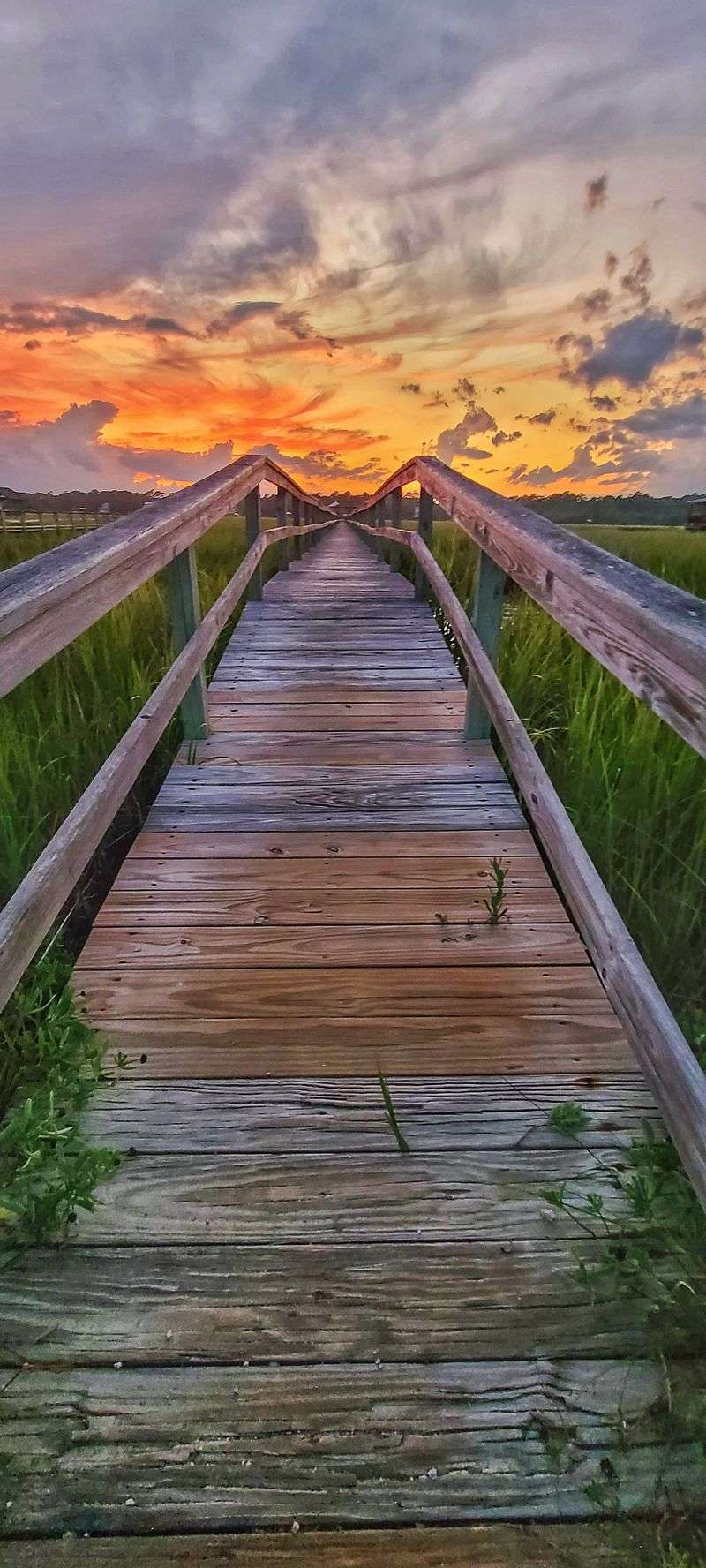 A True Retreat For Nature Lovers And Beachgoers