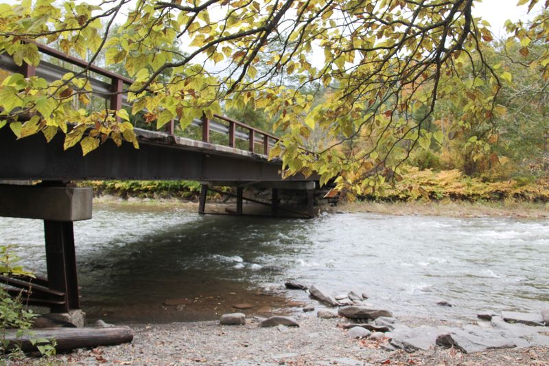 An Arrival That Softens The Edges