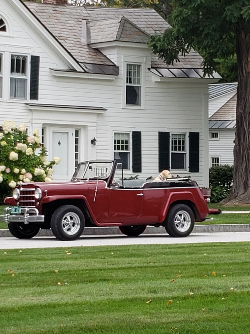 A Hidden Gem for Art Lovers with No Rush to Get There