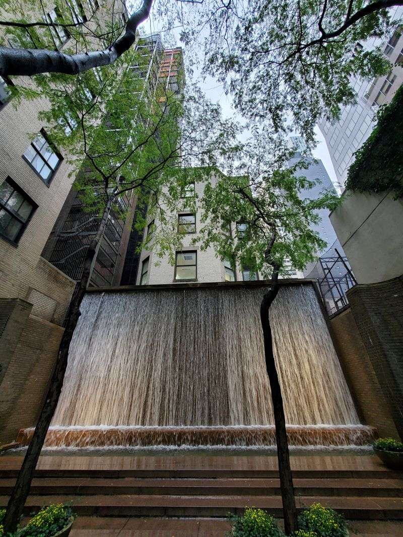 Honey Locust Light And Seasonal Shade