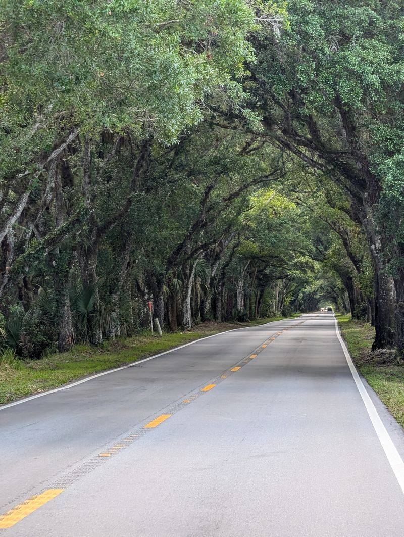 Martin Grade Scenic Highway: Florida's Hidden Gem