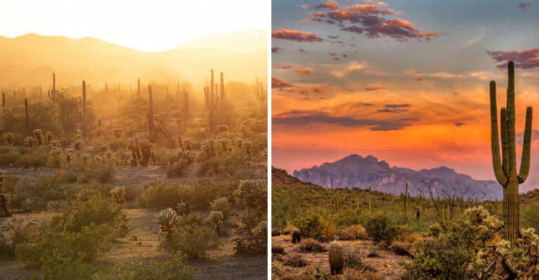 This Arizona High Desert Hideaway Goes Completely Quiet At Dusk