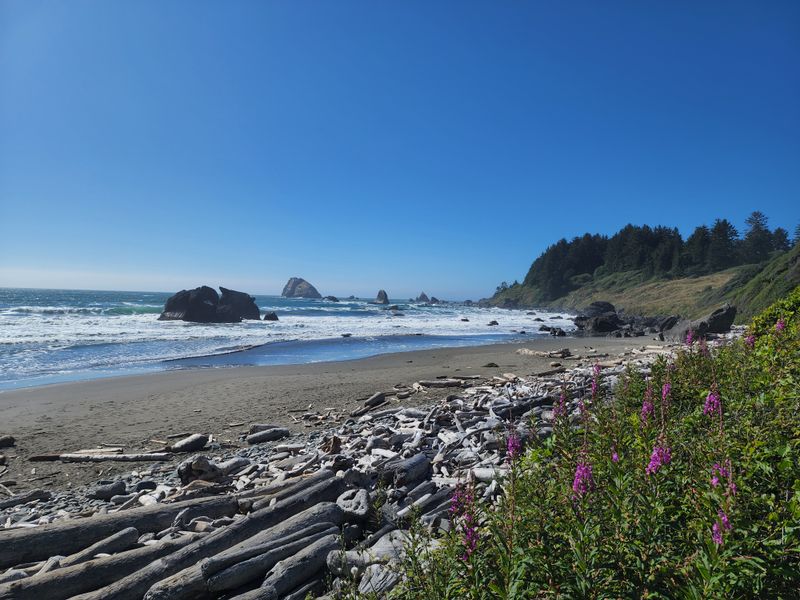 It Feels Less Like A Beach And More Like A Discovery