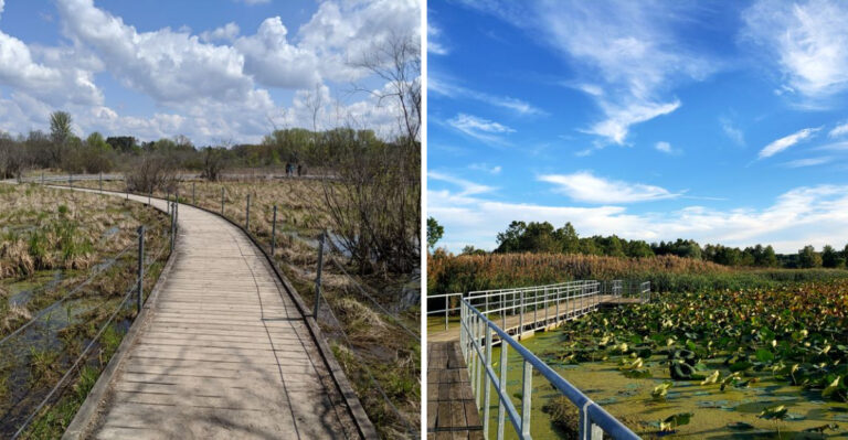 This Minnesota Boardwalk Trail Is A Peaceful Walk Through Untouched Nature