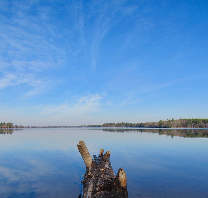 A Pine-Lined Minnesota Lake That Feels Quiet By Design