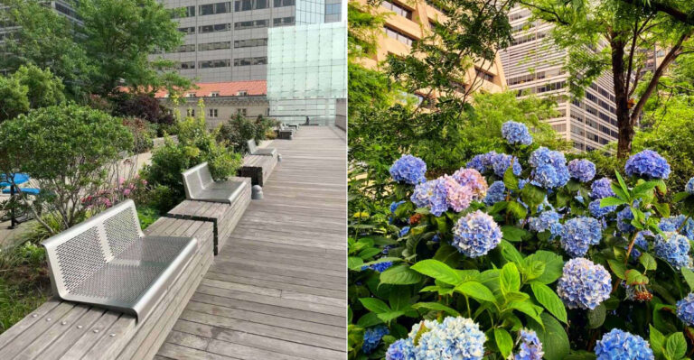 This New York Attraction Is Free And Somehow Still Feels Exclusive