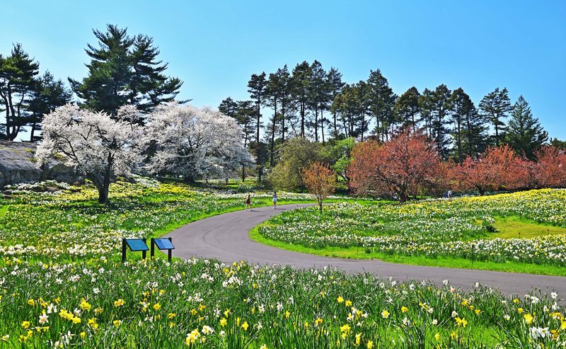 A Forest Escape Inside The City