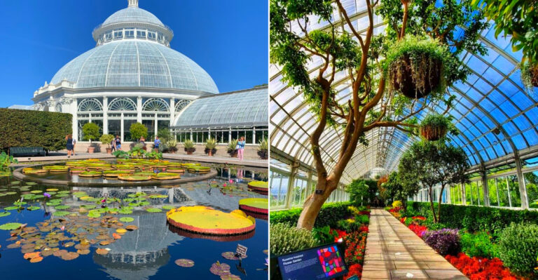 This New York Park Has A Treetop Walkway Where You Can Stroll Through The Canopy