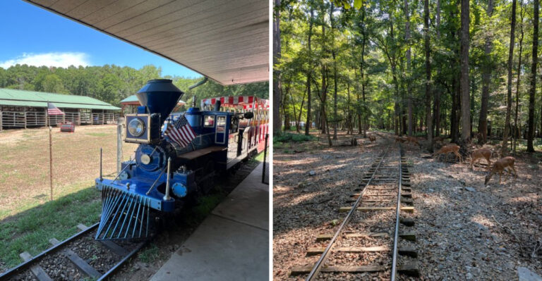 This Oklahoma Train Ride Takes You Through A Forest That Feels Almost Magical