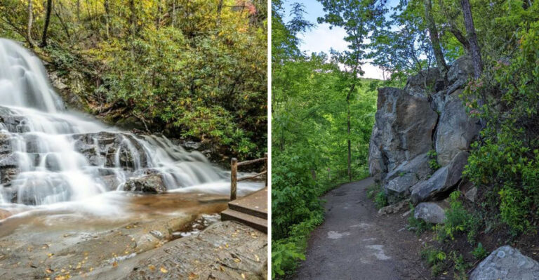 This Tennessee Forest Trail Feels Like You’ve Stepped Into A Real-Life Fairy Tale