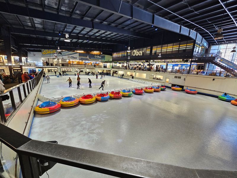 A Welcome That Feels Lively, Even Indoors