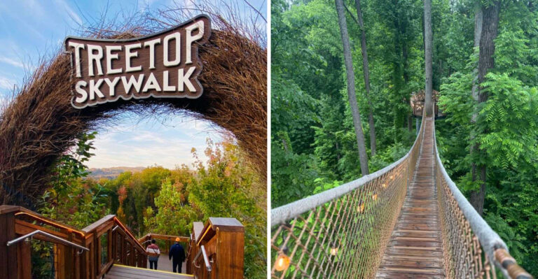 This Tennessee Park Has A Treetop Walkway Where You Can Stroll Through The Canopy