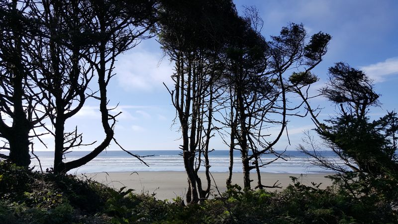 Pacific Beach State Park Feels Like A Local Secret