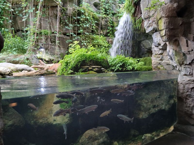 A River Story Told From The Top Down