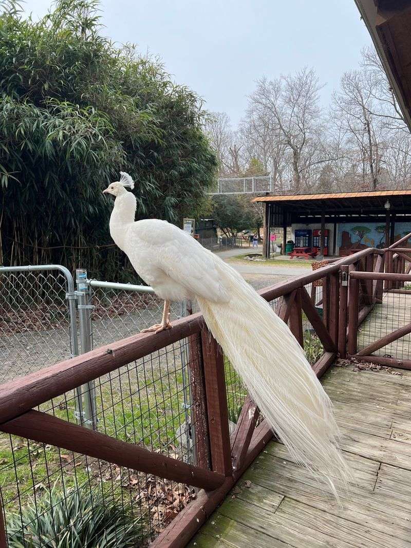 Open To The Public Year-Round