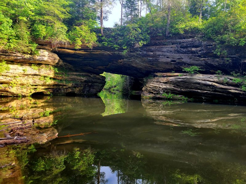 Pickett CCC Memorial Trails