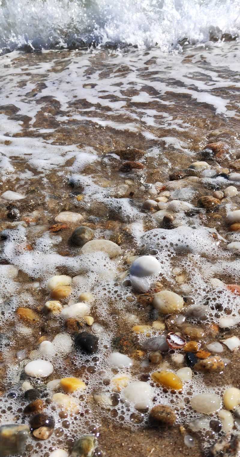 Shells, Stones, And Small Discoveries
