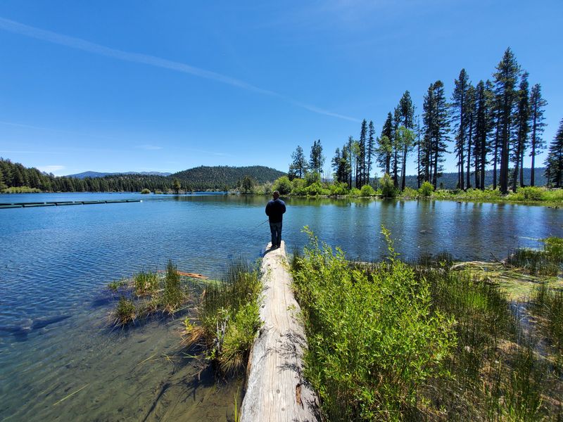 Life Moves By Weather, Not Rush Hour