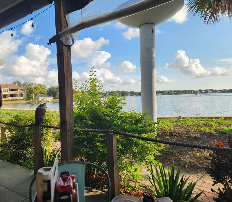 Waterfront Social (Crystal River)