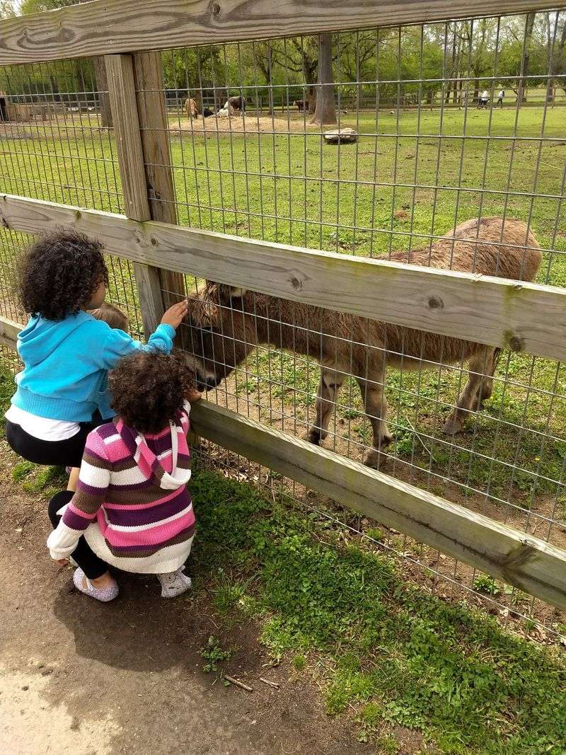 Why Sanctuaries Like This Still Matter