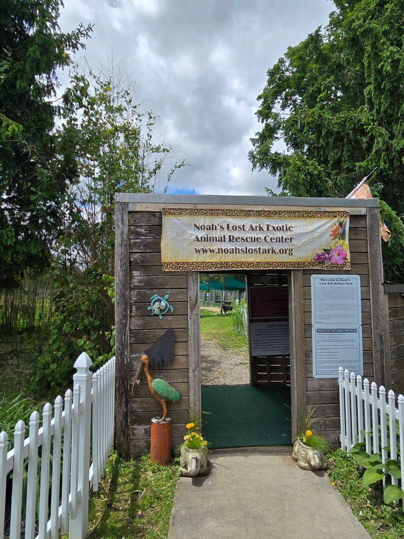 Behind The Scenes: Daily Care At Noah's Lost Ark