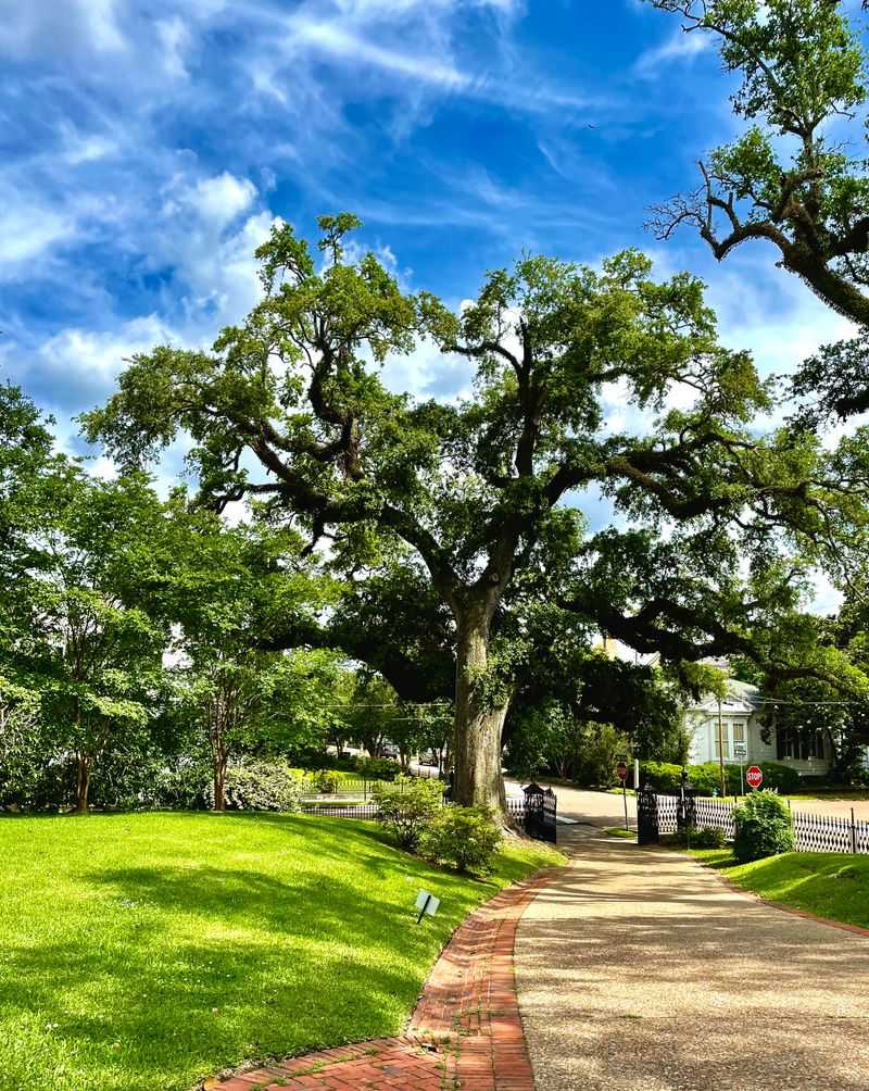 Why Natchez Appeals To Travelers Seeking Stillness