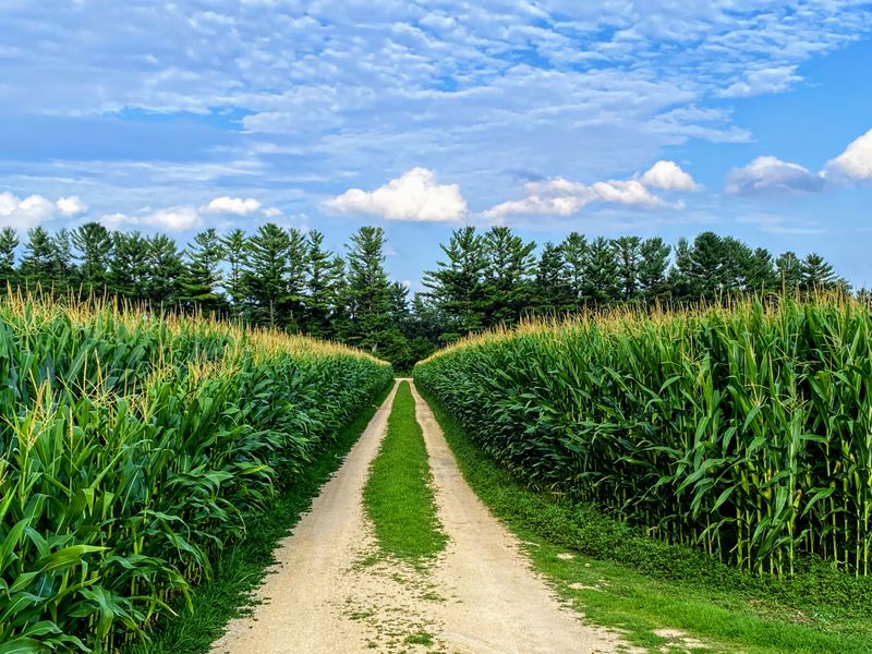 The Heart Of Wisconsin's Rural Landscape