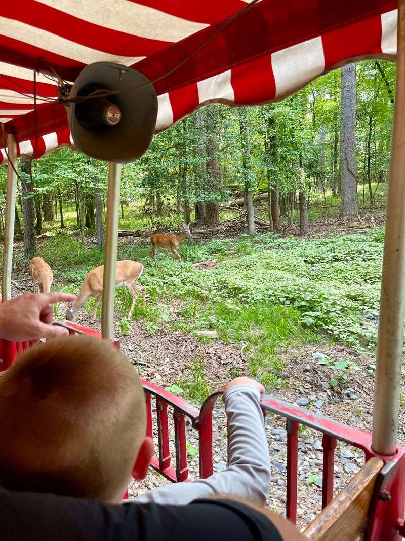 The Best Time To Visit Beavers Bend And Ride The Train
