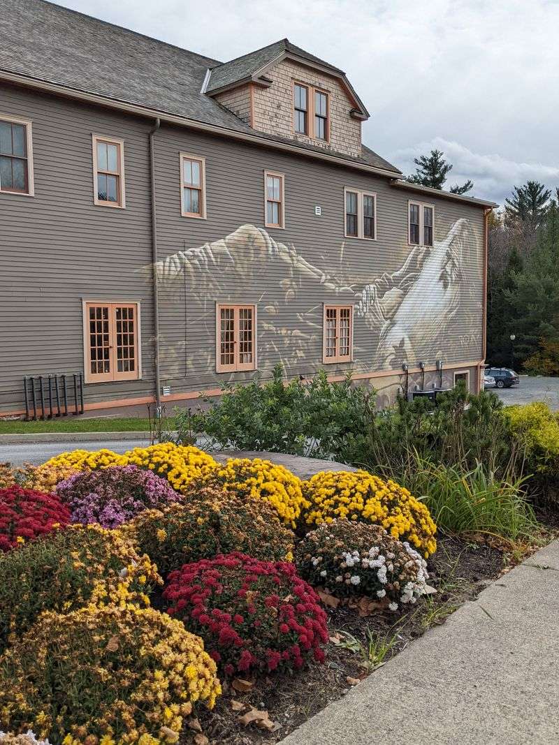 The Rhythm Of Wandering