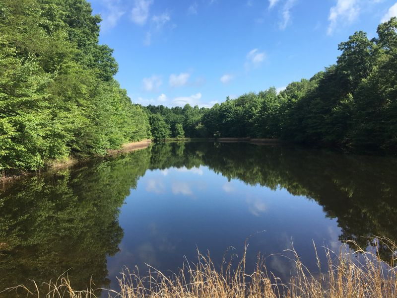 Plateau Forests And Quiet Roads Surround Daily Life