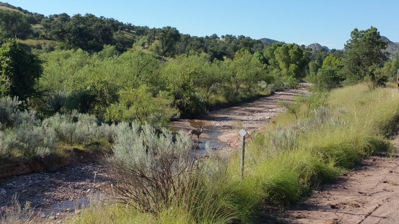 Birdlife and Nature Shape Daily Life Here