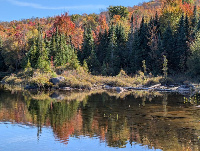 Forest, Water, And Low Mountain Terrain