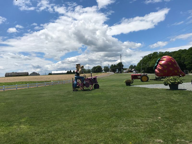 Audible Silence And Its Gifts