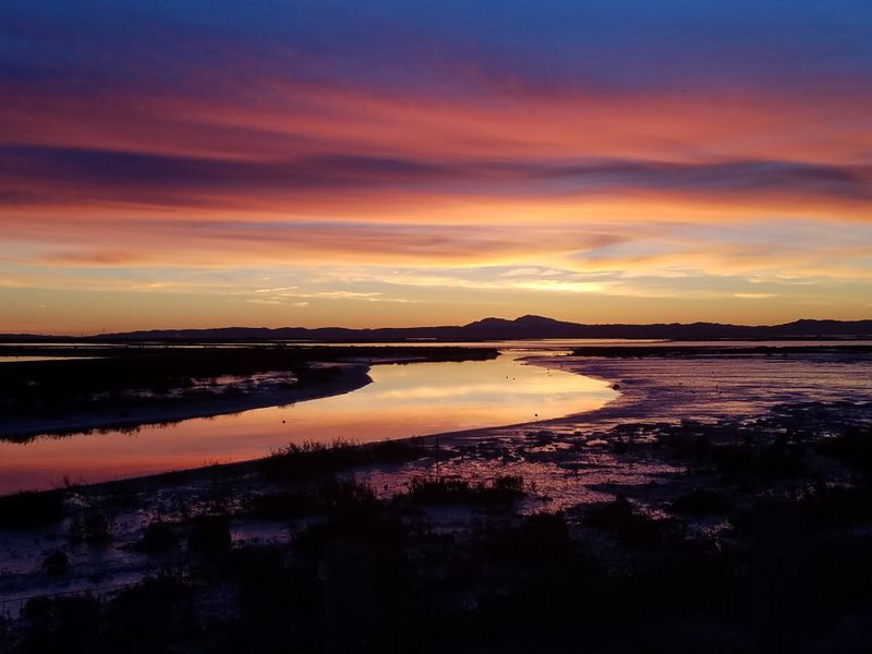 A Perfect Place For Quiet Reflection