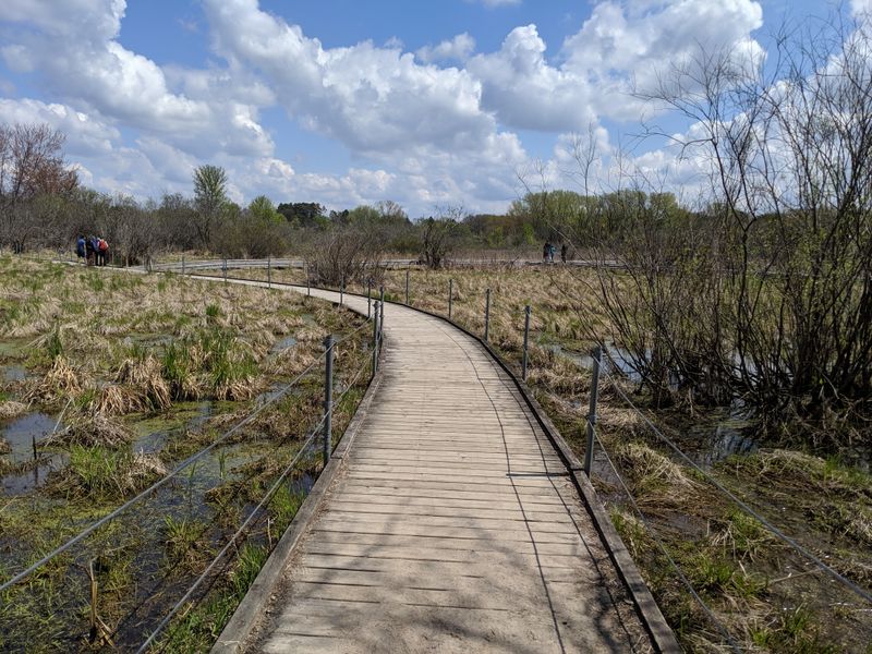 A Trail Built To Protect Fragile Wetlands