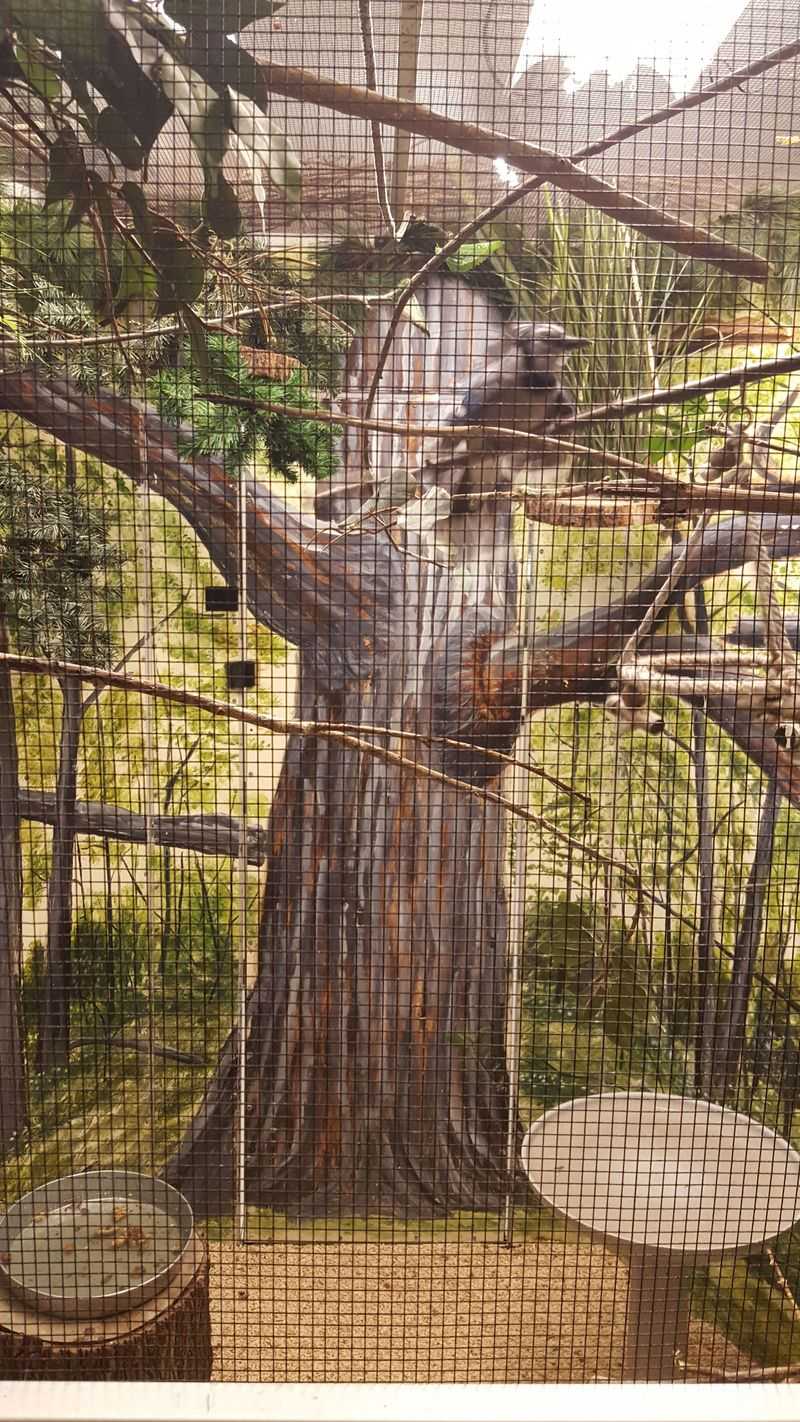 Science, Not Entertainment, Drives Conservation Here