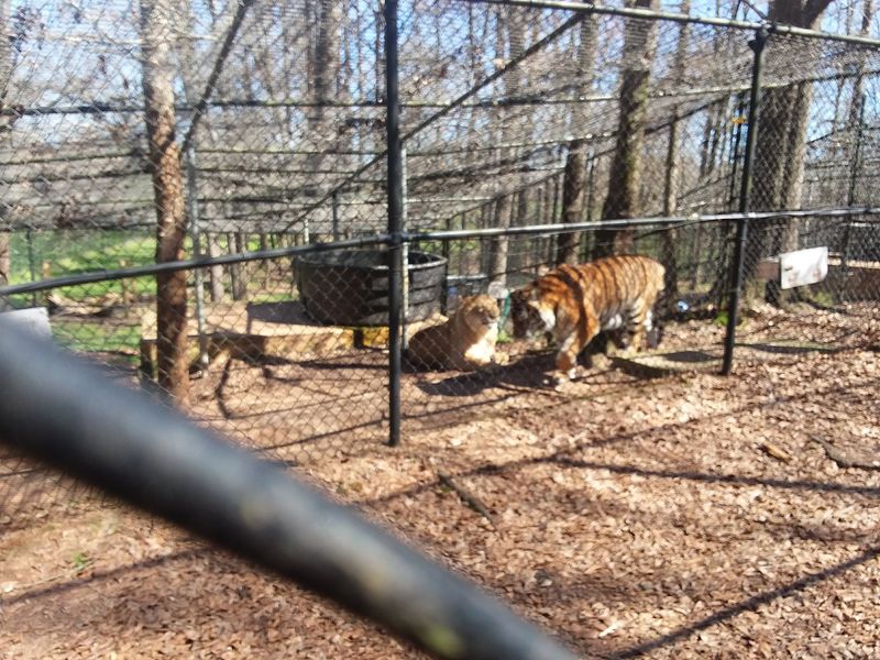 Education Comes Before Entertainment