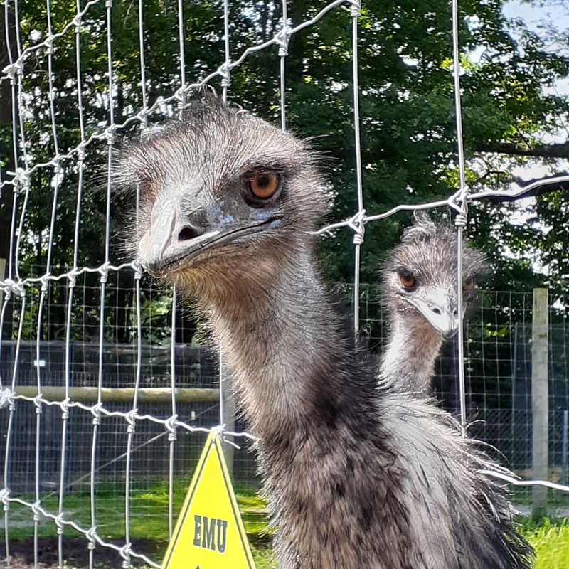 Educating The Public About Wildlife Conservation