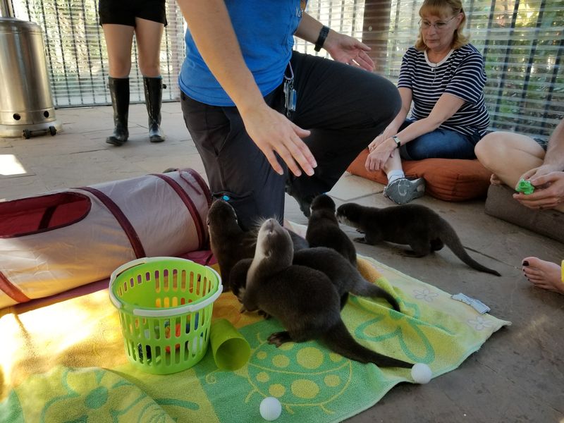 This Sanctuary Operates On Rescue, Care, And Education—Not Entertainment