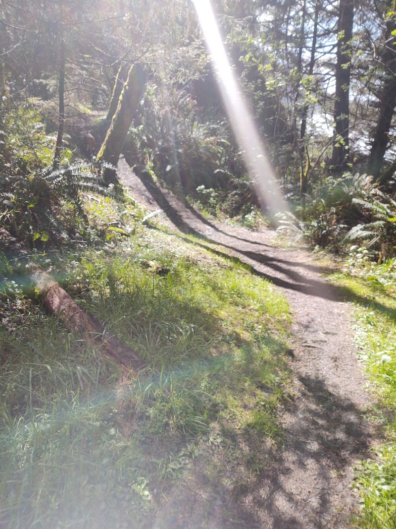 There's No Cell Signal—And That's The Point