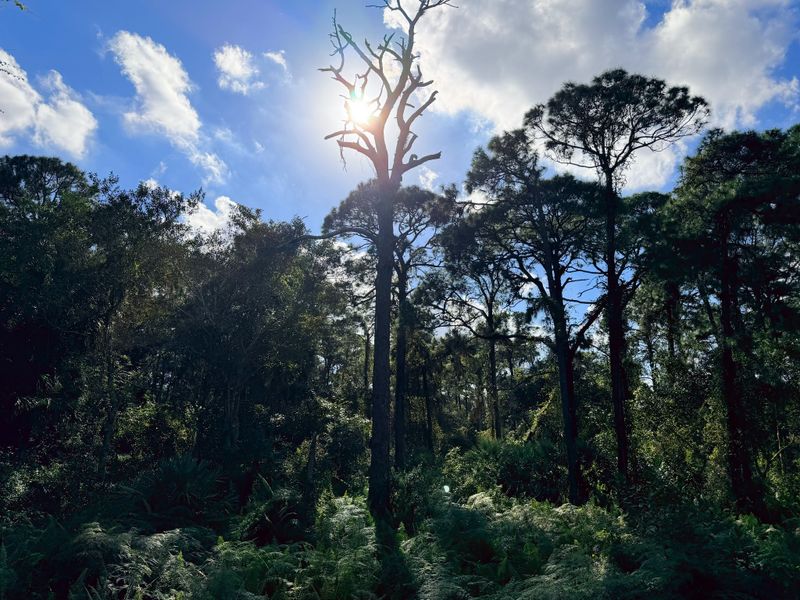 It's One Of The Quietest Nature Spots In Broward County