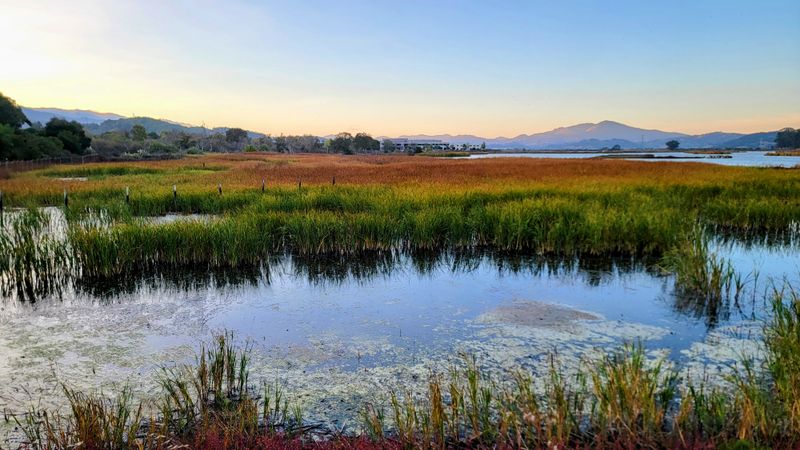 How The Wetland Changes With The Seasons
