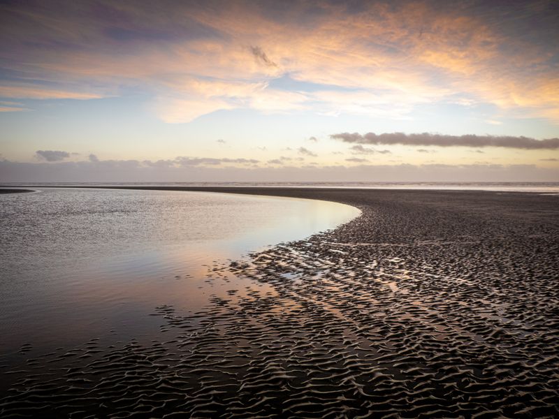 Foggy Mornings And Golden Sunsets Define The Mood